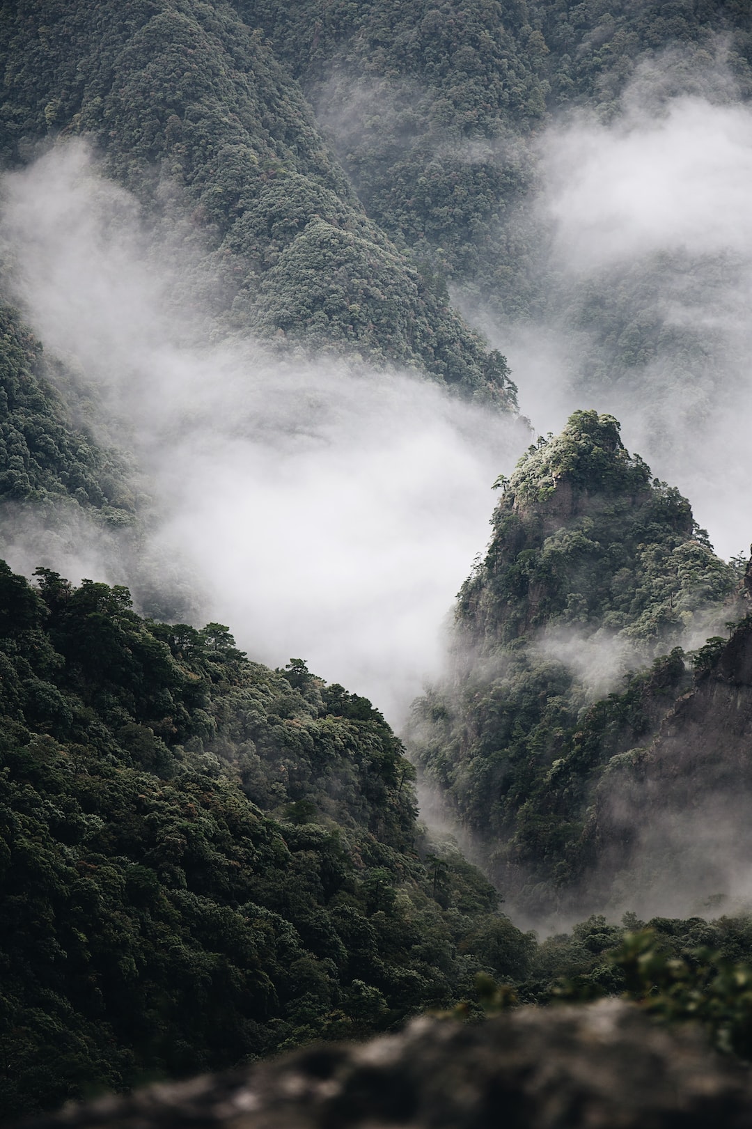 Explorer le paisible mont Qingcheng : Un berceau du taoïsme