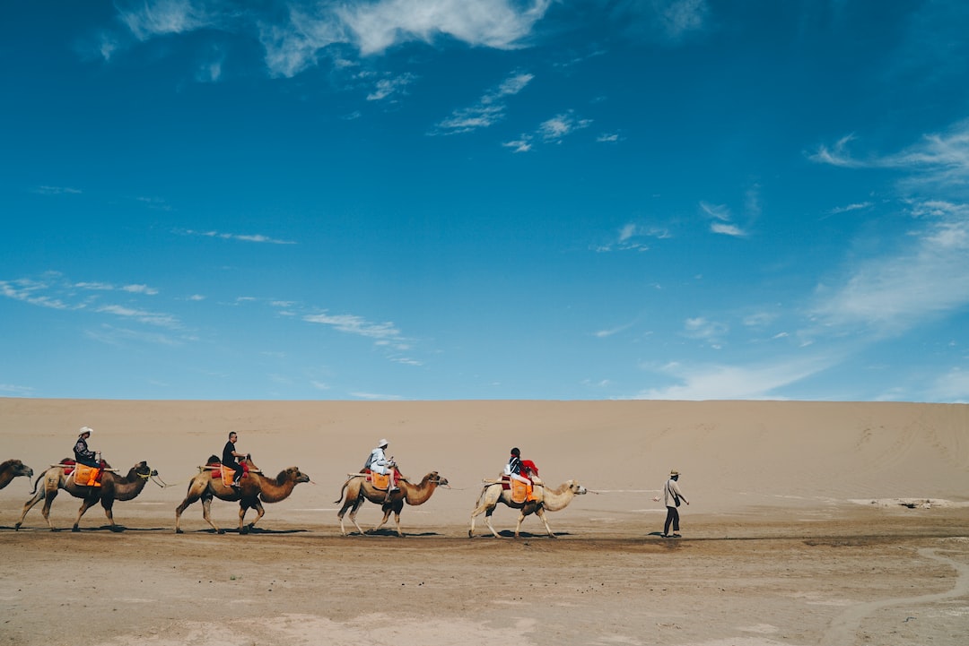 exploring-dunhuang-a-comprehensive-guide-to-dunhuang-railway-station
