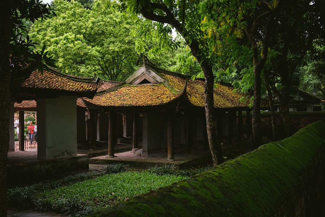 Casas de té ocultas de Hangzhou: Un viaje a través de la antigua cultura china del té y sus pintorescos paisajes