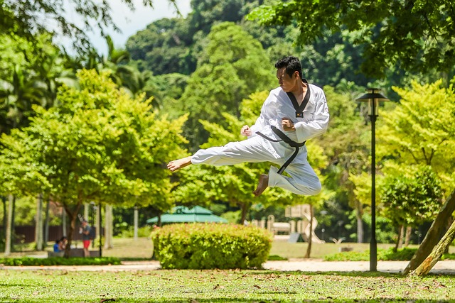 Die Geheimnisse des Kung Fu lüften: Eine Reise durch Kampfkunst und Geduld